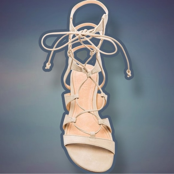 NWT SCHUTZ ‘Erlina’ Lace Up Gladiator Sandals in “Oyster” Nubuck Leather Size 6 - Picture 3 of 8